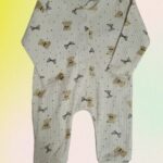 Šliaužtinukas "Meškutis smėlio sp."